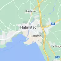 Evenemang: Kings Of Rock And Roll Till Halmstad!