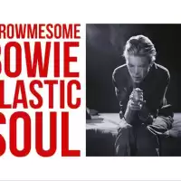 Evenemang: Tms Bowie | Plastic Soul