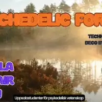 Evenemang: Psychedelic Forest