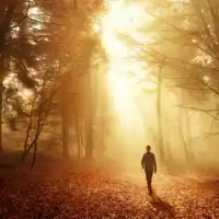 Evenemang: Meditationskurs: Tillflykt- Ett Inre Skydd