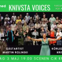 Evenemang: Knivsta Voices Konsert Med Martin Rolinski