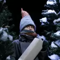 Evenemang: Julfrossa (från 5 år) Vardag