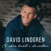 Evenemang: David Lindgren - En Skön Kväll I December!