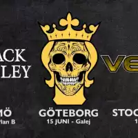 Evenemang: Black Paisley & Vega - Stockholm