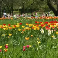 Evenemang: Guidad Visning I Botaniska Trädgården