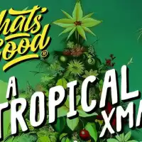 Evenemang: Whats Good - Juldagen 25/12