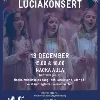 Evenemang: Elva Nätter Före Jul - Luciakonsert Med Nacka Musikskolas Sång- & Körelever