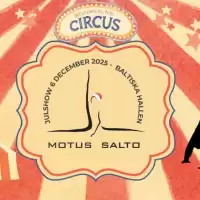 Evenemang: Juluppvisning 2025