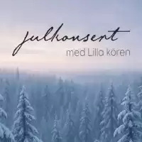 Evenemang: Julkonsert Med Lilla Kören