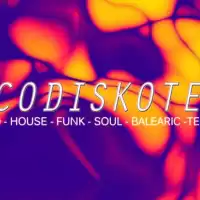 Evenemang: Discodiskoteket