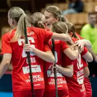 Evenemang: Div1 Region Dam: Fbc Lerum - Warberg Ibf