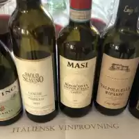 Evenemang: Vinprovning Malmö  Med Italienska Viner. år 2026.  14/3 Kl 17.00