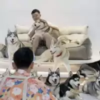 Evenemang: Säsongsavslutning På Doc Lounge! The Dating Game