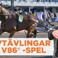 Evenemang: Mall Torsdag 2025