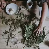 Evenemang: Klubb Botaniska