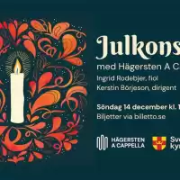 Evenemang: Julkonsert Med Hägersten A Cappella