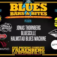 Evenemang: Blues, Bärs & Bites