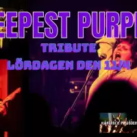 Evenemang: Deep Purple Tribute