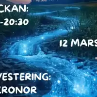 Evenemang: Digital Storseans  Med Martin Ohlson