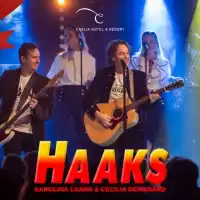 Evenemang: Julbord Och Julshow Med Haaks
