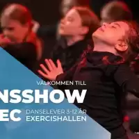 Evenemang: Dansshow 13:00