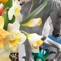 Evenemang: Gothenburg Horse Show 2026 Fredag Kväll - 5