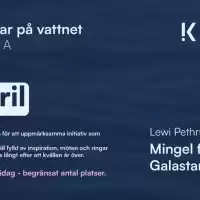 Evenemang: Ringar På Vattnet Gala