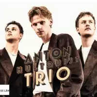 Evenemang: Blueskväll Med Anton Hultquist Trio