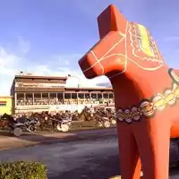 Evenemang: Sommartravet Med Sleipner Cup-finaler