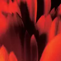 Evenemang: The Mon, Kariti & Grift