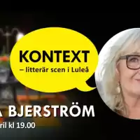 Evenemang: Kontext: Erika Bjerström