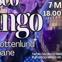 Evenemang: Disco Bingo