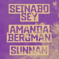Evenemang: Seinabo Sey, Amanda Bergman, Sunnan + Support