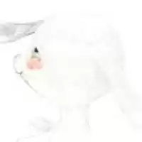 Evenemang: Bebiskonsert