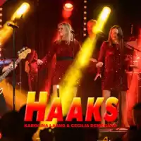 Evenemang: Julbord Och Julshow Med Haaks 2026