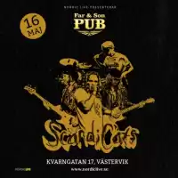 Evenemang: Scandicats