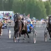 Evenemang: V85 På Tingsrydtravet