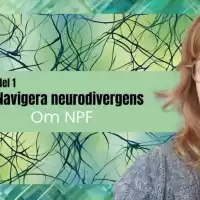 Evenemang: Om Npf