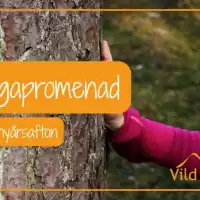 Evenemang: Vild Yogapromenad På Nyårsafton