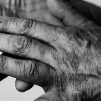 Evenemang: Författarsamtal: Handens Intelligens