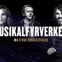 Evenemang: Musikalfyrverkeri