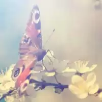 Evenemang: En Renare Värld