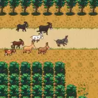 Evenemang: Asses.masses