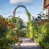 Evenemang: Skapa Naturliga Växtstöd