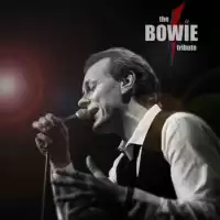 Evenemang: The Bowie Tribute (dk) Live