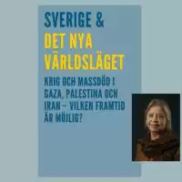 Evenemang: Sverige Och Det Nya Världsläget, Del 3