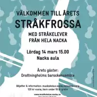 Evenemang: Stråkfrossa 2026