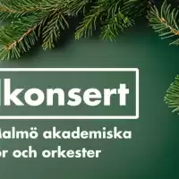 Evenemang: Julkonsert Med Malmö Akademiska Kör Och Orkester