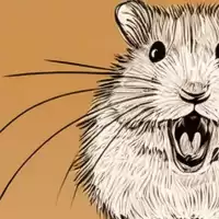 Evenemang: De Utbrända