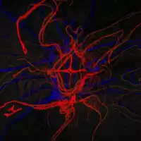 Evenemang: Harald Beharie: Sweet Spot